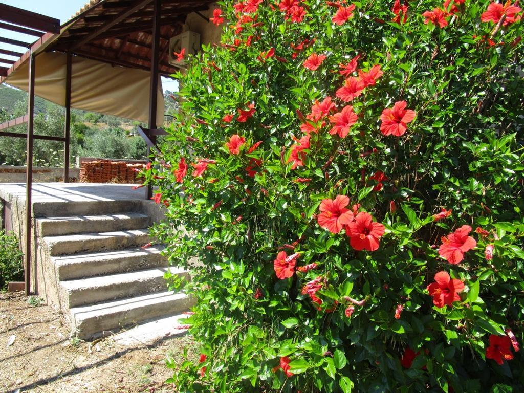 Countryside House Pension Perachora Buitenkant foto